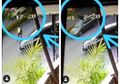 Kabur Hingga Tabrak Satpam Usai Kepergok Lakukan Adegan 'Mobil Goyang', Oknum ASN Ini Tak Bisa Tutupi Rasa Malunya Saat Diamankan Petugas, Gelar Kasur di Dalam Mobil Untuk Berbuat Mesum