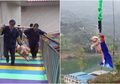 Taman Hiburan Tuai Kritikan Setelah Paksa Seekor Babi Lakukan Bungee Jumping
