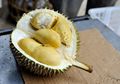 10 Makanan yang Dapat Memicu Kanker Otak, Salah Satunya Buah Durian!