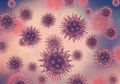 Virus Corona Menyebar Hebat, Singapura Umumkan Kasus Pertama Virus Corona di Negaranya, Maskapai Ini Sampai Hentikan Semua Penerbangan Ke Wuhan dari Indonesia