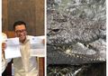 Disinggung-singgung Dewas TVRI dan Jadi Alasan Pemecatan Helmy Yahya, Ternyata Ini Perbedaan Buaya Afrika dan Buaya Indonesia