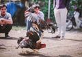 Bagai Senjata Makan Tuan, Pria Ini Tewas oleh Ayam Jantannya Sendiri Saat Sabung Ayam