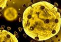 Lo Bisa Pantau Persebaran Virus Corona Lewat Peta Online Ini Sob