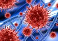Ahli Epidemiologi Harvard Peringatkan Warga Indonesia: Sepertinya Virus Corona Sudah Menyebar Tapi Tak Terdeteksi