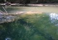 Sungai dari Dua Desa Ini Tak Bisa Menyatu, Begitu Pula Warganya yang Dilarang Saling Menikahi, Ternyata Ada Sejarah Kelam Perselisihan di Antara Desa Tersebut