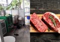 Polisi Temukan Daging Manusia dalam Mi di Sebuah Restoran, Ini yang Akan Terjadi pada Tubuh Kita Saat Konsumsi Daging Manusia