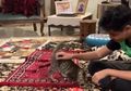 Pintar Layaknya Seekor Anjing, Cowok Ini Dibuat Bingung dengan Kelakuan Kucing Peliharaannya