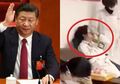 Sebagian Besar Wilayah Negaranya Hantui Wabah Corona, Presiden China Xi Jinping Justru Menghilang Bak Ditelan Bumi, Ikut Mengungsi?