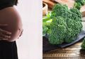 Wanita hamil jangan ragu Lagi Makan Brokoli, Rasakan 7 Manfaatnya untuk Kesehatan, Salah Satunya Kendalikan Anemia