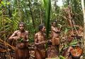 Suku Kanibal Terakhir Di Dunia Hidup Damai Di Papua, Ternyata Nggak Mengerikan Kayak di Film Lho