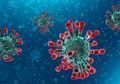 Viral Kisah Seorang Wanita Taiwan yang 'Selamat' dari Virus Corona, Awalnya Kesal dengan Hewan Peliharaannya Tapi Akhirnya Bersyukur