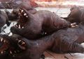 Beginilah Penampakan Ekstrem Foto-foto Pasar Tomohon, Tempat yang Dianggap Mirip dengan Pasar Penyebar Virus Corona di Wuhan Tiongkok