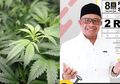Bersedia Siapkan Lahan, Politisi PKS Asal Aceh Usul Legalkan Ganja di Indonesia: Jangan Kaku Lah