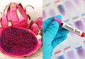 Ini Dia 7 Manfaat Buah Naga Merah, Salah SatunyaTingkatkan Zat Besi bagi Penderita Anemia