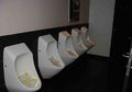 Sering Bikin Orang Penasaran, Ini 3 Alasan Mengapa Urinoir Toilet Terkadang Diberi Es Batu