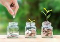 Pintar Atur Uang Investasi Tanpa Modal Banyak, Simak Tipsnya!