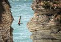 Bali, Indonesia Resmi Jadi Lokasi Baru Red Bull Cliff Diving World Series 2020