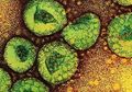 Intelejen Israel Sebut Virus Corona Sebagai Senjata Biologi China yang Bocor, Mantan Kepala Intel TNI Justru Katakan Ini, Singgung Soal Penjual dan Pembeli