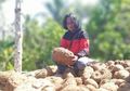 Terbukti Buat Pemulung Kaya Raya, Terungkap Tanaman yang Dulu Dibuang-buang Ini Hasilkan Omset Hingga Puluhan Juta!