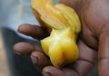 Rasanya Enak dan Banyak Digemari, Ternyata Buah-buah Ini Punya Bahaya Mengintai, Kok Bisa?