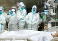 Nyaris Semua Negara Asia Terkena Dampak Virus Corona, Tetapi Mengapa Tak Ada Satupun di Indonesia yang Terkena Virus Tersebut, Akhirnya Terkuak Inilah Penyebabnya