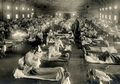 Virus Corona Tak Ada Apa-apanya, 1,5 Juta Penduduk Indonesia Meninggal dari 100 Juta Penduduk Dunia Mati, Penyakit Ini Nyaris Membawa Umat Manusia Diambang Kepunahan