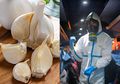 Seiring Gencarnya Berita Virus Corona Wuhan, Tetiba Saja Harga Bawang Putih di Jakarta Tembus 50 Ribu Rupiah