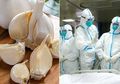 8 Jenis Makanan Sehat yang Bisa Kamu Santap Untuk Cegah Virus Corona