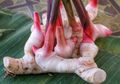 Tak Hanya Turunkan Risiko Kanker, Lengkuas Miliki Manfaat Ajaib untuk Tingkatkan Kesuburan Pria, Berani Coba?