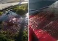 Gempa Guncang Turki, Air Berwarna Merah Darah Keluar dari Jalanan yang Retak