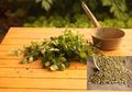 Manfaat Daun Ketumbar untuk Kecantikan Kulit, Menunda Keriput di Wajah hingga Atasi Masalah Jerawat, Begini Cara Membuat Masker Daun Ketumbar!