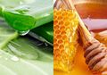 Dijamin, Penyakit Mengerikan Ini Tidak Akan Bersarang di Tubuh Jika Rutin Minum Campuran Lidah Buaya dan Madu
