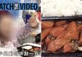 Bak Sudah Putus Asa Tidak Temukan Obat Virus Corona, Rumah Sakit di China Diam-diam Berikan Pasien Daging Hewan Ini, Padahal Sudah Dilarang Makan Hewan Liar!
