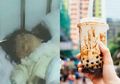 Ngeri Banget! Sering Minum Bubble Tea dan Makanan Manis, Gadis Berusia 8 Tahun Idap Penyakit Mematikan Ini