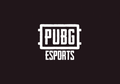 Karena Virus Corona, PUBG Putuskan Batalkan Global Series: Berlin