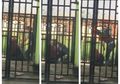 Viral Video Detk-detik Seorang Pria Ngamuk Hingga Tega Rebut dan Banting Handphone Sang Pacar, Netizen: Fix Kalau Digituin Lapor Polisi!