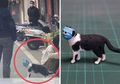 Lucu Abis, Seniman Jepang Ini Bikin Patung dari Binatang-binatang yang Viral di Media Sosial