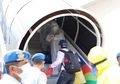 Ogah Balik Kampung, Ratusan Warga China Pilih Perpanjang Izin Tinggal di Bali, Pilih Ribet ke Kantor Imigrasi Daripada Lawan Virus Corona