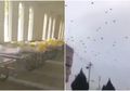 Beredar Rekaman Mengerikan, Ribuan Burung Gagak Terbang di Atas Kota Wuhan Diduga Berpesta dengan Mayat Korban Virus Corona