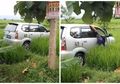 Viral Avanza Nyasar di Tengah Sawah, Pengemudi Kaget Bangun Tidur Dikira Parkir di Warung Sarapan, Netizen Sebut Diangkat Setan