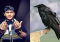 Bagikan Video Koloni Burung Gagak di Wuhan, Mbah Mijan Beberkan Tafsir Primbon: Ungkap Kabar Buruk