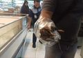 Viral Video Tikus Berkeliaran dalam Freezer Supermarket, Dinas Ketahanan Pangan Turun Tangan