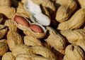 Sering Dibuang Setelah Nonton Film, Siapa Sangka Kulit Kacang Bisa Mencegah Kanker Perut