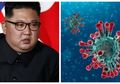 Klaim Bebas Virus Corona, Korea Utara Terapkan Strategi Aneh untuk Menanggulangi Virus Mematikan Ini, Bikin Penduduk Sendiri Tidak Senang hingga Pekerja Asing Sengsara