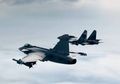 Bagai Pelanggan Emas di Pasar Militer Dunia, Indonesia Terus Disodori Pesawat Canggih dari Berbagai Negara, Nekat Ajukan Dagangannya, Swedia Getol Tawarkan Jet Tempur Gila Ini