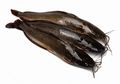 Viral Ikan Lele Penuh Parasit dengan Bintik Putih, Begini Efek Samping Jika Terlalu Sering Mengonsumsinya!