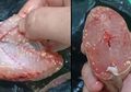 Viral Foto Daging Ikan Lele Ditumbuhi Bintik-bintik Putih karena Parasit Beredar di Pasaran, Ini Fakta di Baliknya