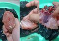 Ramai Larangan Makan Ikan Lele dengan Bintik Putih, Dokter Hewan: Masih Bisa Dikonsumsi dengan Satu Syarat