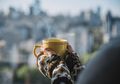 Dapat Sembuhkan Penyakit, Minum Air Putih Hangat Setiap Hari Malah Bisa Rusak Ginjal dan Organ Dalam