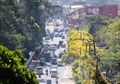 Buat Turis Asing Berbondong-bondong, Inilah Fakta Kawin Kontrak yang Ramai di Puncak Bogor